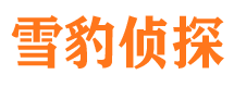 雄县侦探公司